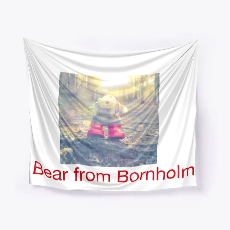 Bear from Bornholm 1